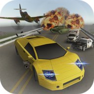Traffic Survival