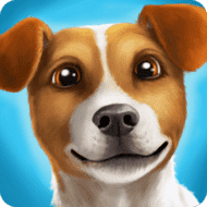 DogHotel - Play with Dogs