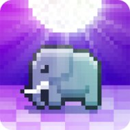 Disco Zoo